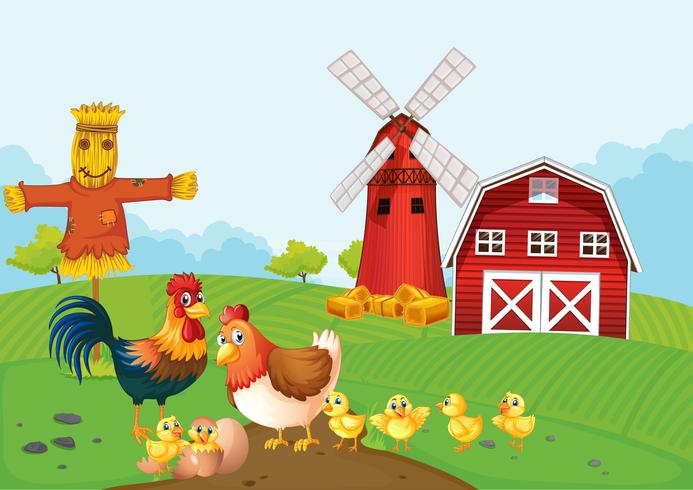 Chickens on the farmland vector