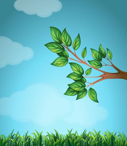 Scene with branch and grass vector