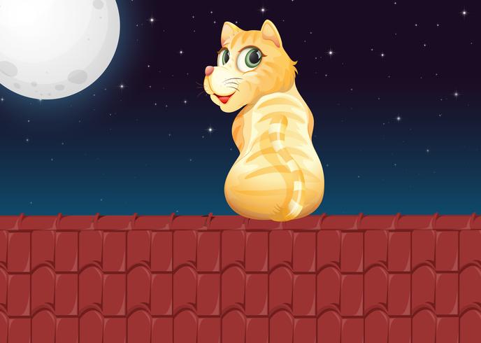 Cat on the roof vector