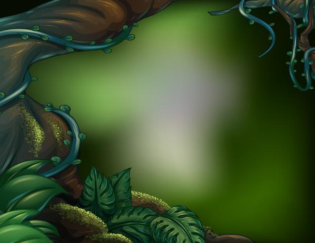 A beautiful scene of forest vector