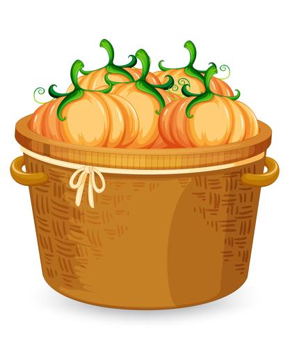 A basket of pumpkin vector