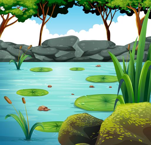 Scene with water lily in the pond vector