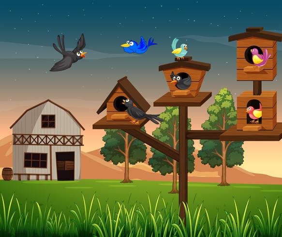 Many birds in birdhouse on the farm 520399 Vector Art at Vecteezy
