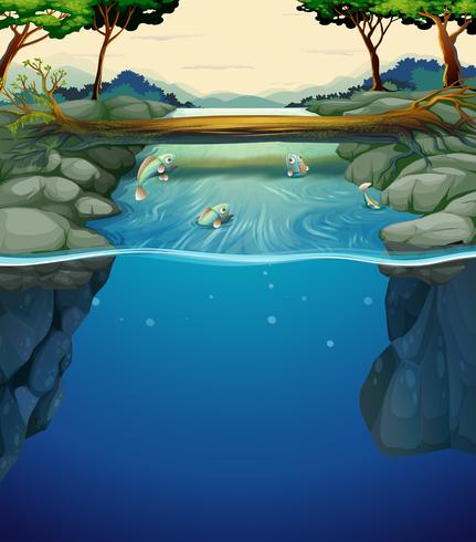 Nature scene with fish in the river vector