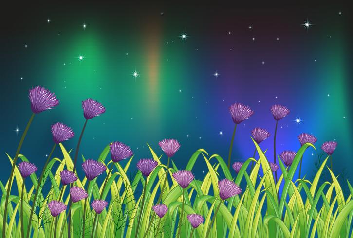 Violet flowers in the garden vector