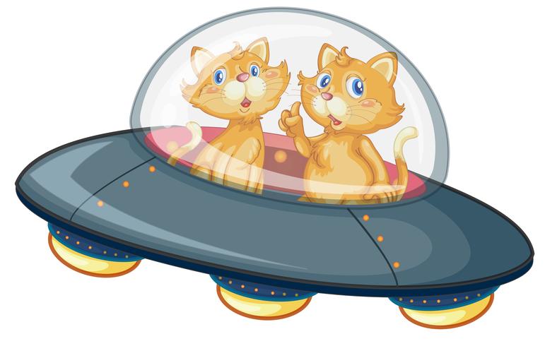 Un gato en ufo sobre fondo blanco vector