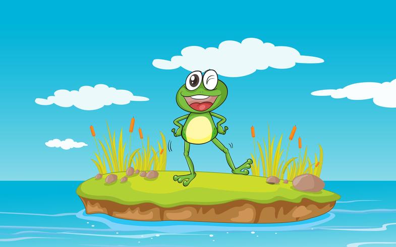 a frog and a water vector