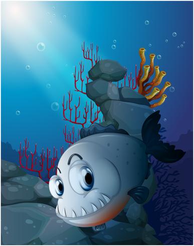 A scary piranha near the rocks vector