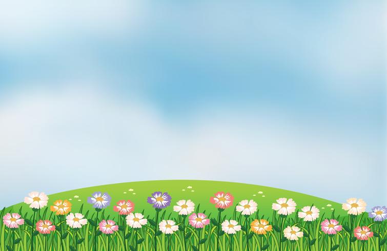 A view of the hill with flowers vector