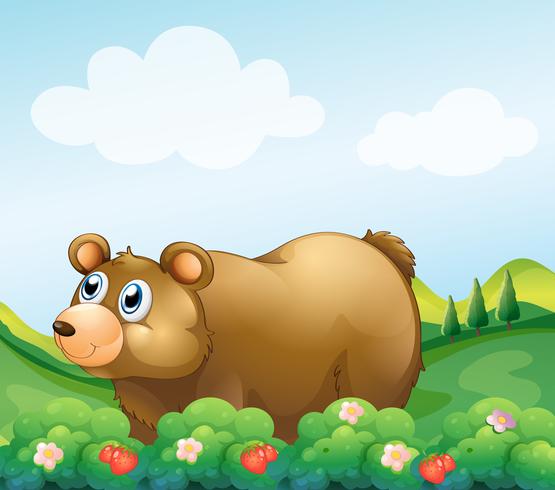 A brown bear in the strawberry garden vector