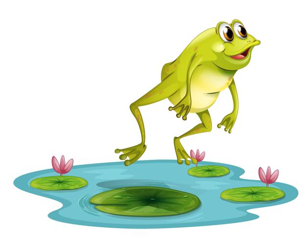 A jumping frog at the pond vector