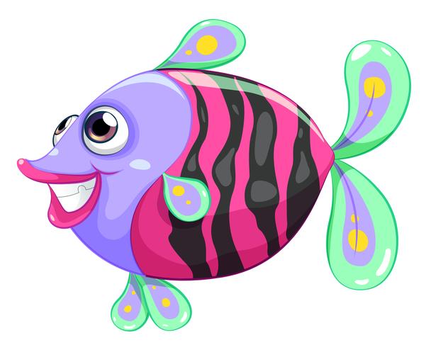 A pretty fish vector