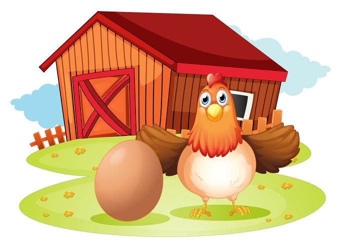 A hen and an egg at the backyard vector