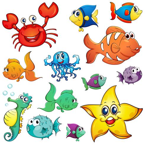 Different sea creatures vector