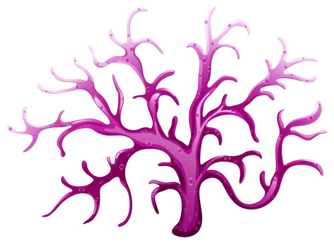 Un arrecife de coral violeta vector