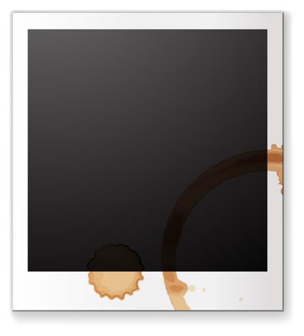 Blank photograph vector