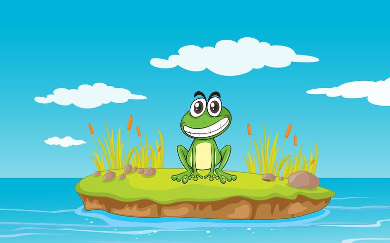 a frog and a water vector