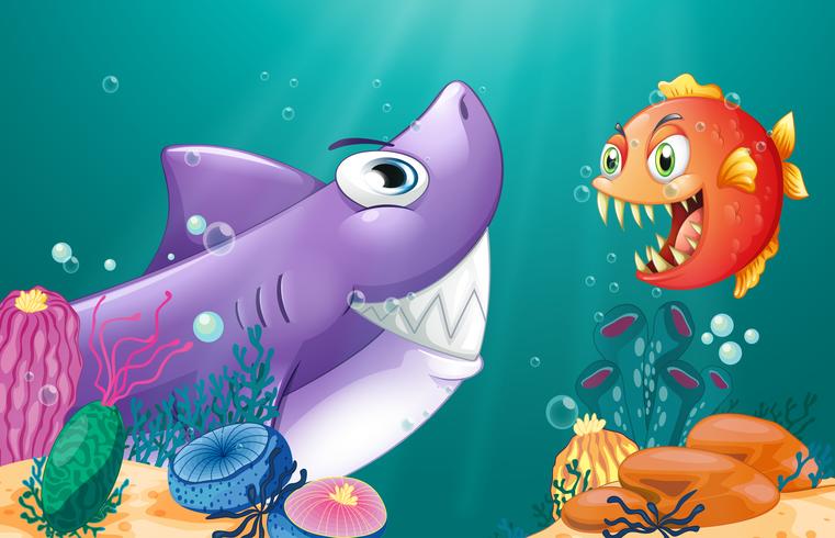 A shark and a piranha under the sea  vector