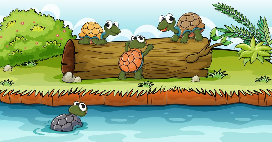 Turtles on a dry wood vector