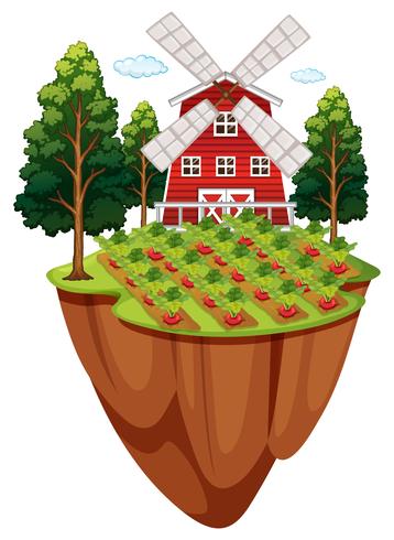 Farmyard with vegetable garden vector