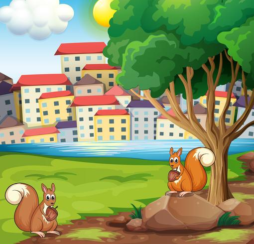 Two squirrels at the riverbank across the village vector