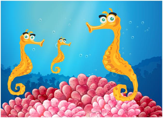 Sea horses near the pink coral reefs vector
