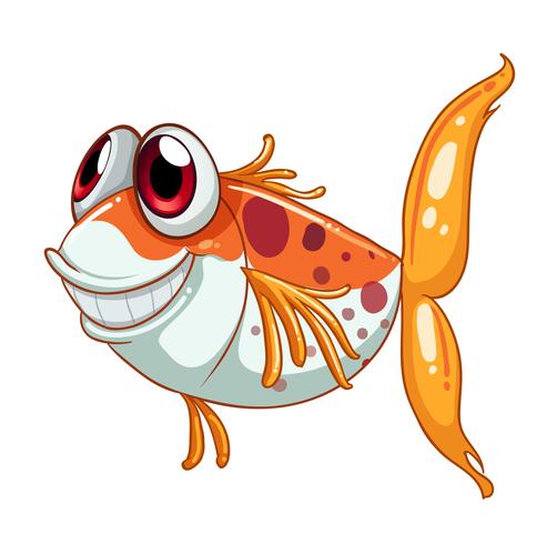 An orange fish with big eyes  vector