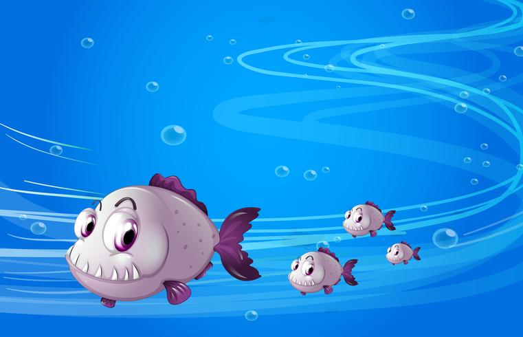 Four piranhas under the sea vector