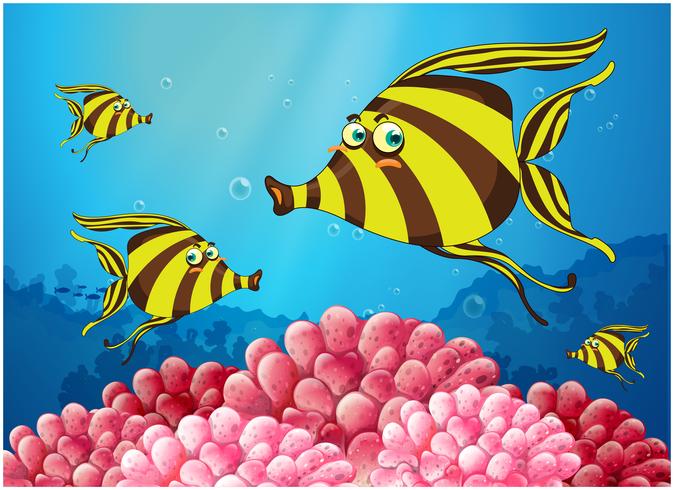 Un grupo de peces de color raya bajo el mar. vector