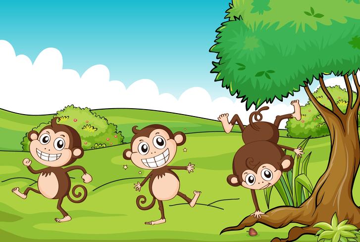 The three monkeys vector