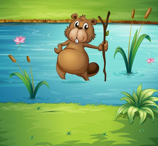 A beaver with a wood in the river vector