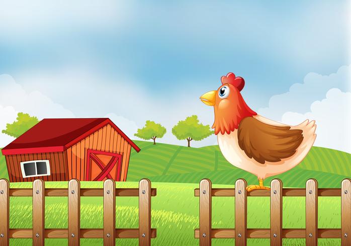 Una gallina en el campo con un galpón. vector