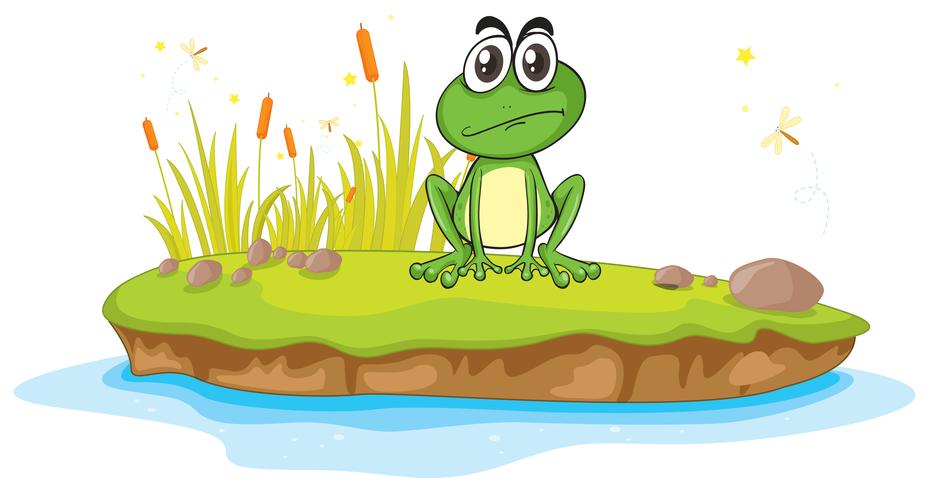 a frog and a water vector