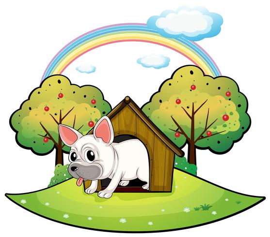 A dog inside the dog house with an apple tree at the back vector
