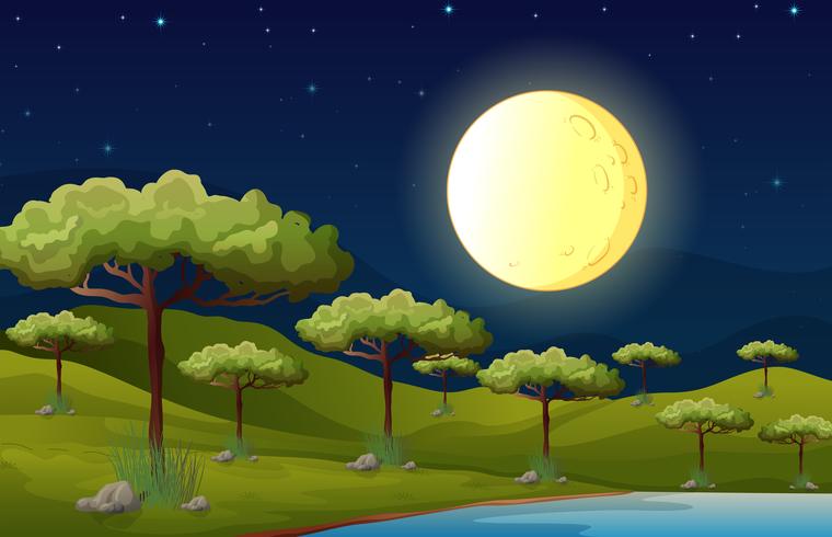 Una brillante luna llena iluminando el bosque. vector