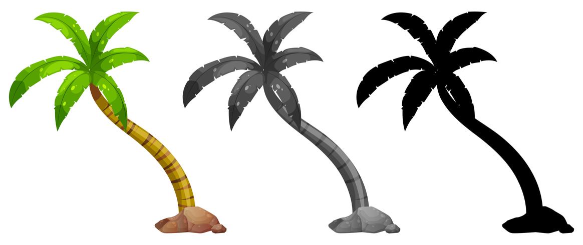 Set of palm tree  vector