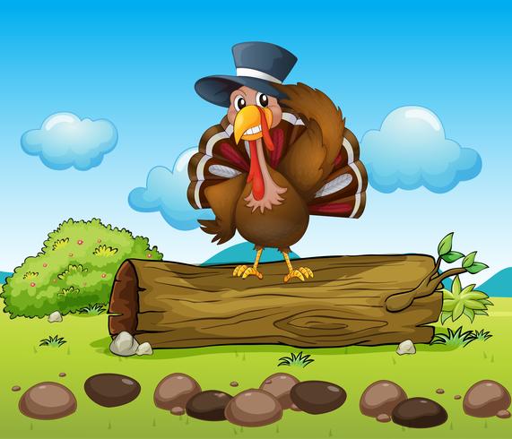 A turkey above a log vector