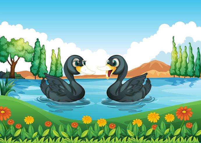 Un rio con dos patos. vector