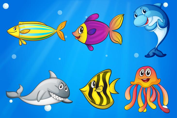 Six colorful smiling fishes under the sea vector