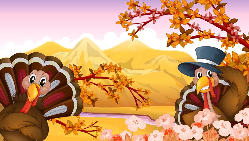 Two turkeys in an autumn view vector