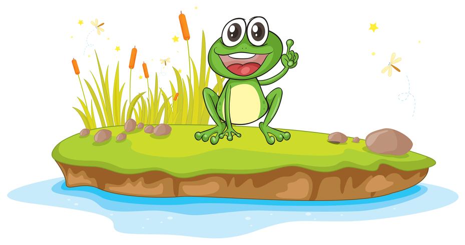 a frog and water vector