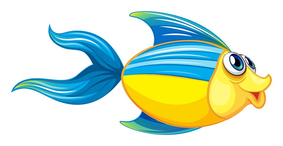 A fish vector