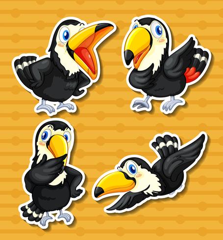 Toucan vector