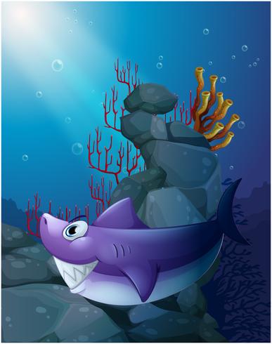 A shark under the sea near the rocks vector