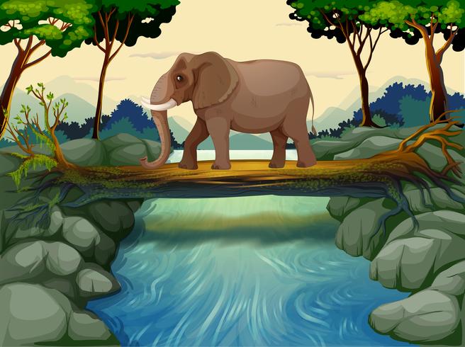 Un elefante cruzando el río. vector