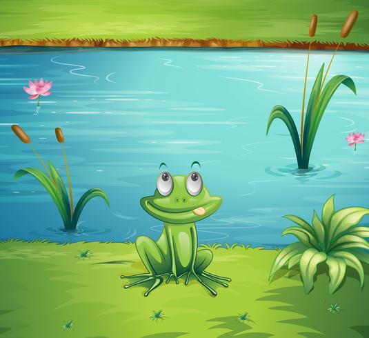 A hungry frog vector