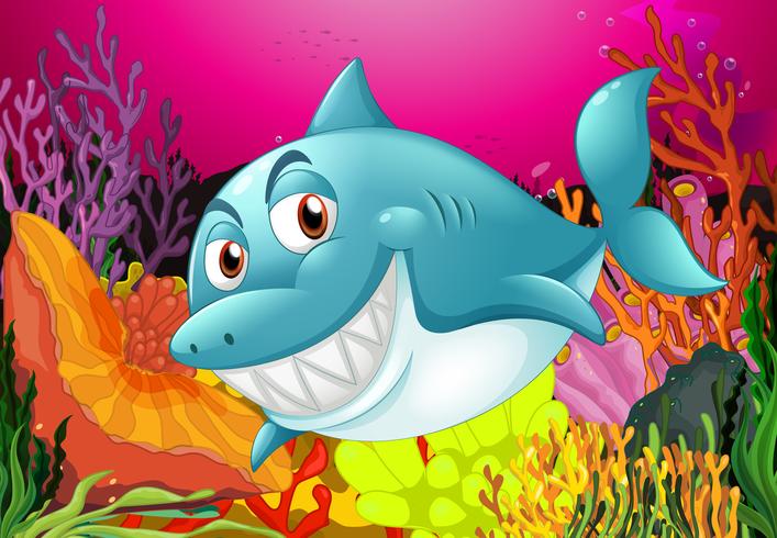 A big fish vector