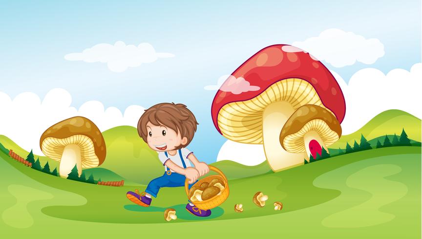 A kid and the mushrooms vector