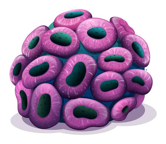A violet coral vector