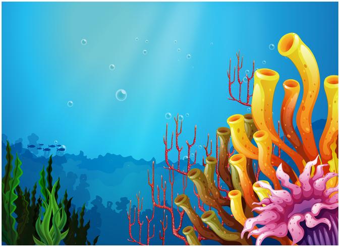 Corales bajo el mar vector